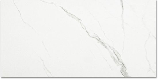 Polished Love 12X24 | Glens Falls Tile & Supplies