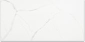 Polished Love 12X24 | Glens Falls Tile & Supplies