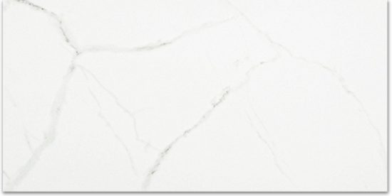 Polished Love 12X24 | Glens Falls Tile & Supplies