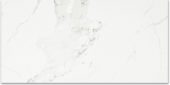 Polished Love 16X32 | Glens Falls Tile & Supplies
