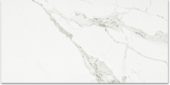 Polished Love 16X32 | Glens Falls Tile & Supplies