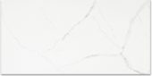 Polished Love 16X32 | Glens Falls Tile & Supplies