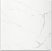 Polished Love 24X24 | Glens Falls Tile & Supplies