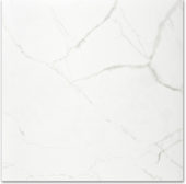 Polished Love 24X24 | Glens Falls Tile & Supplies