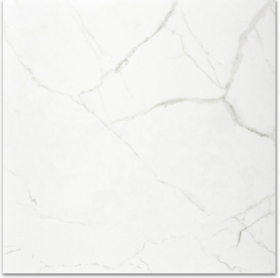Polished Love 24X24 | Glens Falls Tile & Supplies