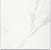 Polished Love 24X24 | Glens Falls Tile & Supplies