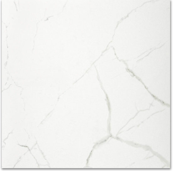 Polished Love 24X24 | Glens Falls Tile & Supplies