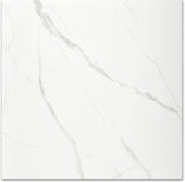 Polished Love 24X24 | Glens Falls Tile & Supplies