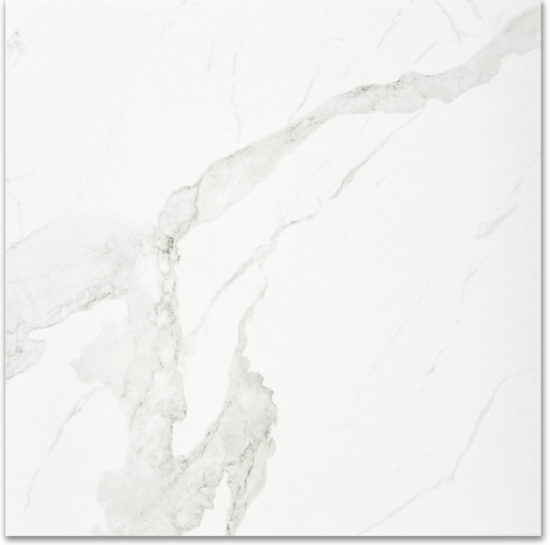 Polished Love 24X24 | Glens Falls Tile & Supplies