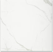 Polished Love 24X24 | Glens Falls Tile & Supplies