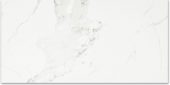 Polished Love 24X48 | Glens Falls Tile & Supplies