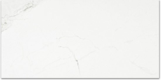Polished Love 24X48 | Glens Falls Tile & Supplies