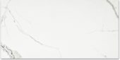 Polished Love 24X48 | Glens Falls Tile & Supplies