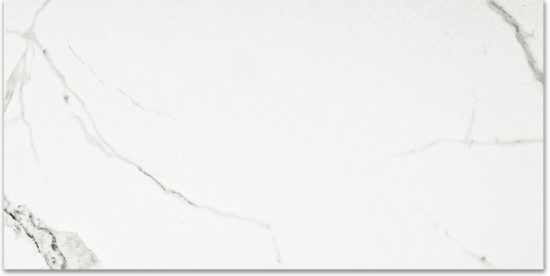 Polished Love 24X48 | Glens Falls Tile & Supplies