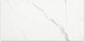 Polished Love 24X48 | Glens Falls Tile & Supplies