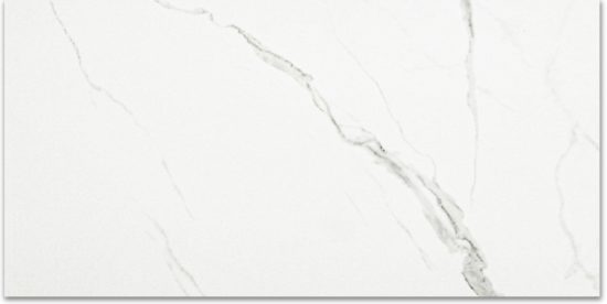 Polished Love 24X48 | Glens Falls Tile & Supplies