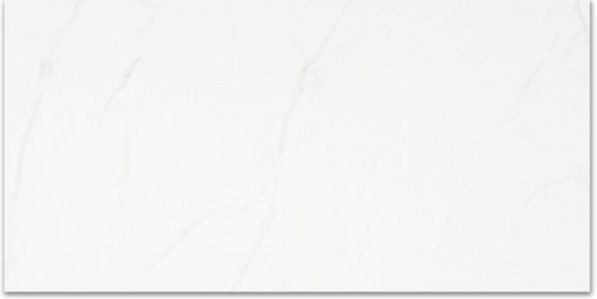 Polished Love 24X48 | Glens Falls Tile & Supplies