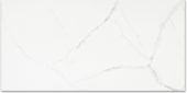 Polished Love 24X48 | Glens Falls Tile & Supplies