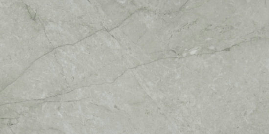Roma Argento Honed 24X48 | Glens Falls Tile & Supplies