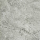 Roma Argento Honed 32X32 | Glens Falls Tile & Supplies