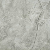 Roma Argento Polished 24X24 | Glens Falls Tile & Supplies