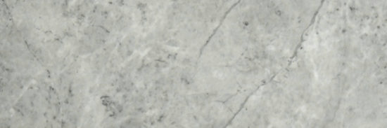 Roma Argento Polished 4X12 | Glens Falls Tile & Supplies