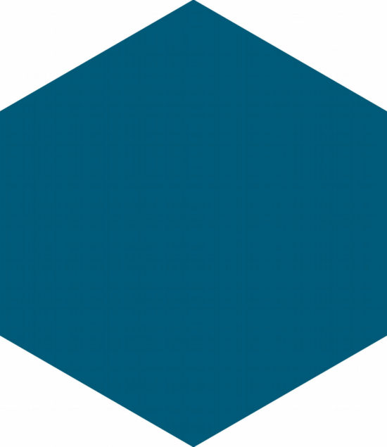 Ronda 5.5X6.3” Navy Blue Hexagon | Glens Falls Tile & Supplies