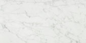San Giulio Gioia Honed 24X48 | Glens Falls Tile & Supplies