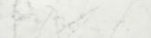 San Giulio Gioia Polished 3X12 Bullnose | Glens Falls Tile & Supplies