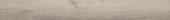 Sandstone 7.76"x60" | Glens Falls Tile & Supplies