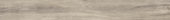 Sandstone 7.76"x60" | Glens Falls Tile & Supplies