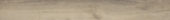 Spice 7.76"x60" | Glens Falls Tile & Supplies