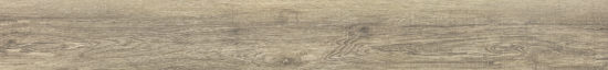 Spice 7.76"x60" | Glens Falls Tile & Supplies