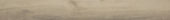 Spice 7.76"x60" | Glens Falls Tile & Supplies