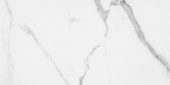 Statuario Venezia Polished 12X24 | Glens Falls Tile & Supplies