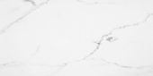 Statuario Venezia Polished 24X48 | Glens Falls Tile & Supplies