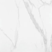 Statuario Venezia Polished 32X32 | Glens Falls Tile & Supplies