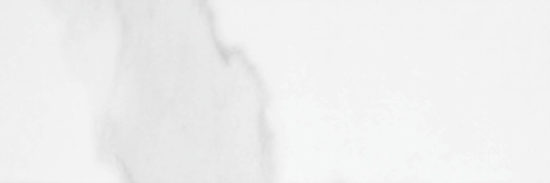 Statuario Venezia Polished 4X12 | Glens Falls Tile & Supplies