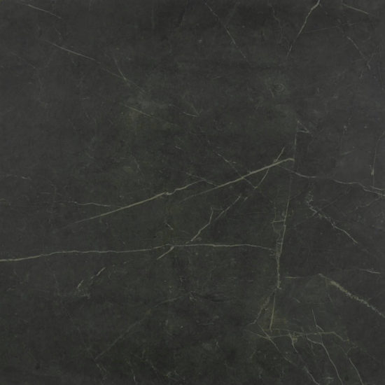 Tivoli Nero Honed 24X24 | Glens Falls Tile & Supplies
