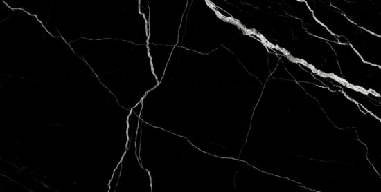 Treasure Midnight Nero 12x24 Polished | Glens Falls Tile & Supplies