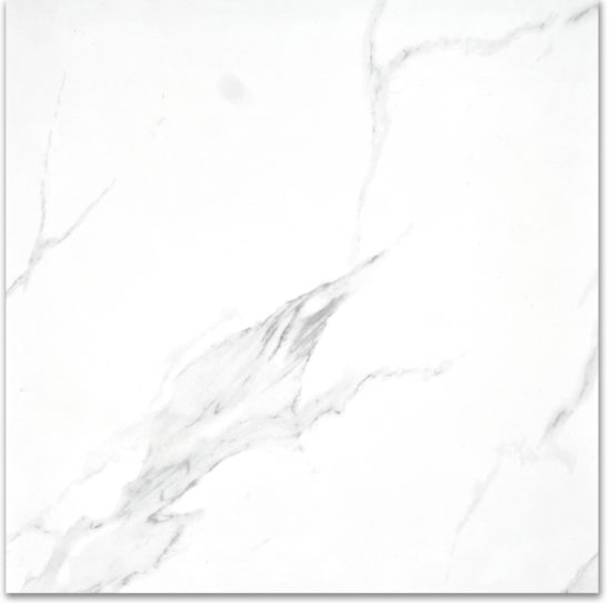 Treasure Statuario 24x24 Polished | Glens Falls Tile & Supplies