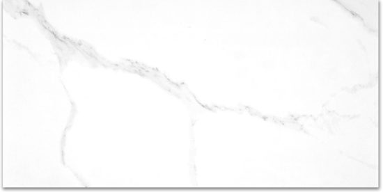 Treasure Statuario 24x48 Polished | Glens Falls Tile & Supplies