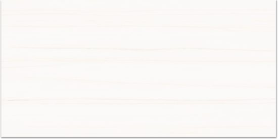 Treasure Ultimate Dolomite 12x24 Matte | Glens Falls Tile & Supplies