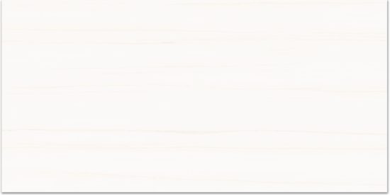 Treasure Ultimate Dolomite 12x24 Matte | Glens Falls Tile & Supplies
