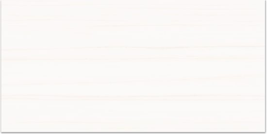 Treasure Ultimate Dolomite 12x24 Matte | Glens Falls Tile & Supplies