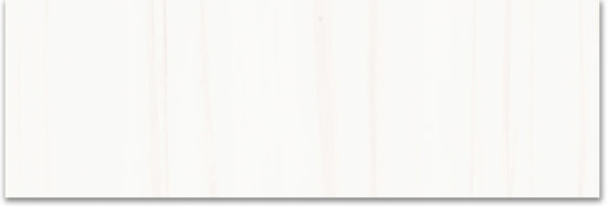 Treasure Ultimate Dolomite 4x12 Polished | Glens Falls Tile & Supplies