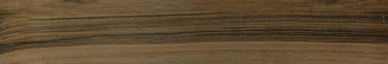 Vivid Vintage 6X36 | Glens Falls Tile & Supplies
