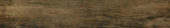 Vivid Vintage 6X36 | Glens Falls Tile & Supplies