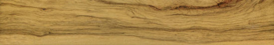 Warm Honey 6X36 | Glens Falls Tile & Supplies