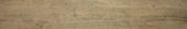 Western Juniper 8X47 | Glens Falls Tile & Supplies